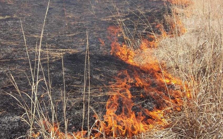 Пожар в Дашкесанском районе был полностью потушен