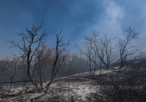 Фоторепортаж с места пожара в Сиязани