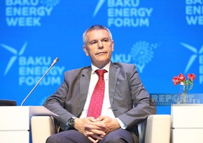 Carlo Beltrame: Steps can be taken in Nakhchivan regarding transition to green energy