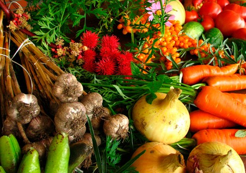 В Джалилабаде посевные площади овощей сократились почти на 40 гектаров
