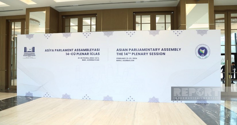 Сахиба Гафарова: Совместные усилия парламентов помогают в достижении общих целей
