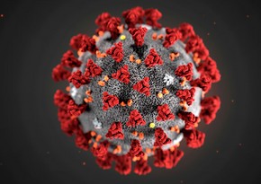 Ermənistanda koronavirusa yoluxma sayında kəskin artım qeydə alınıb
