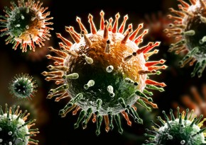 Kaliforniyada virusun naməlum mutasiyası aşkarlandı
