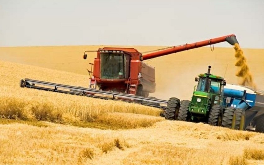 ​В 2014 году Латвия собрала рекордный урожай зерновых