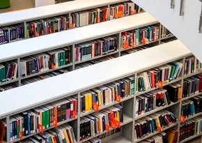 NYT: Из библиотек Европы украли более 170 редких книг русских классиков