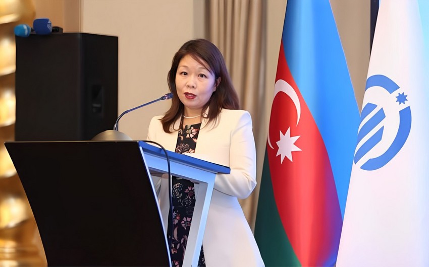 UN: Azerbaijan made progress in demining, restoring liberated territories