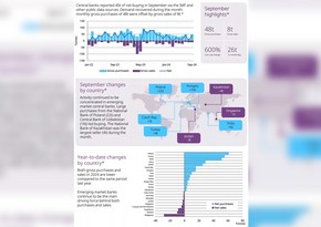 ГНФАР вошел в ТОП-5 по закупкам золота в мире в этом году