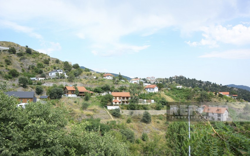 Laçına həyat qayıdır - REPORTAJ