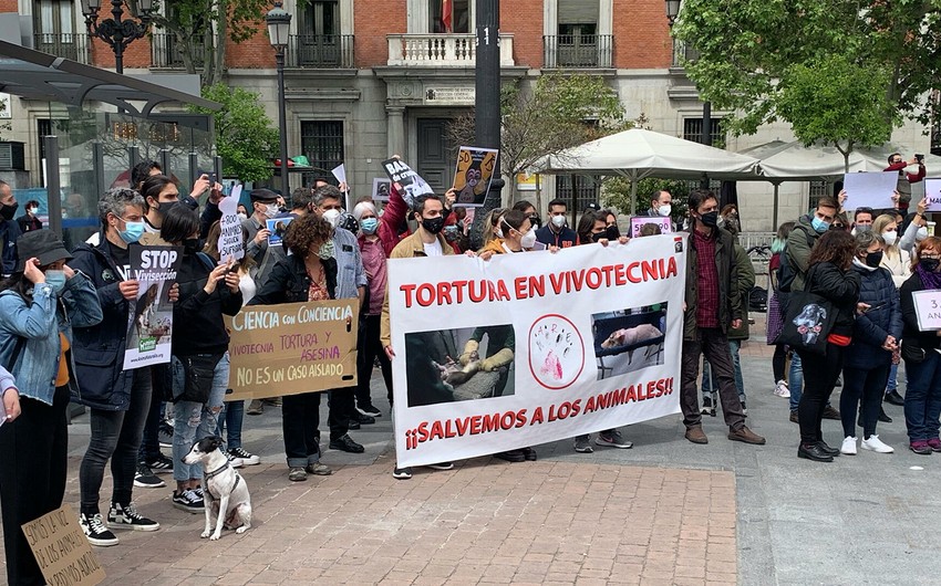 В Мадриде прошла акция протеста из-за экспериментов над животными