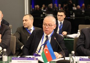 Azerbaijan's Constitutional Court chairman attends int’l conference in Tirana