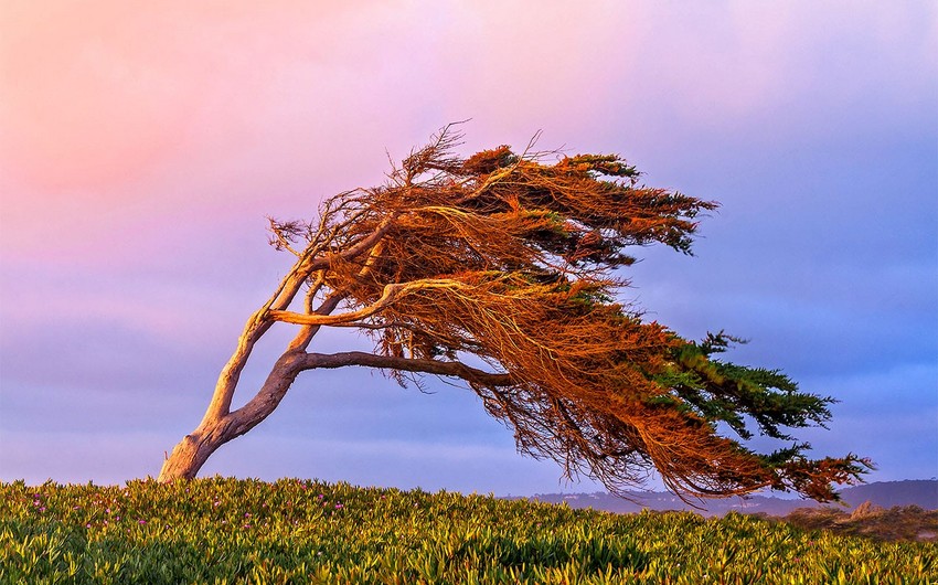 Strong wind expected in Baku