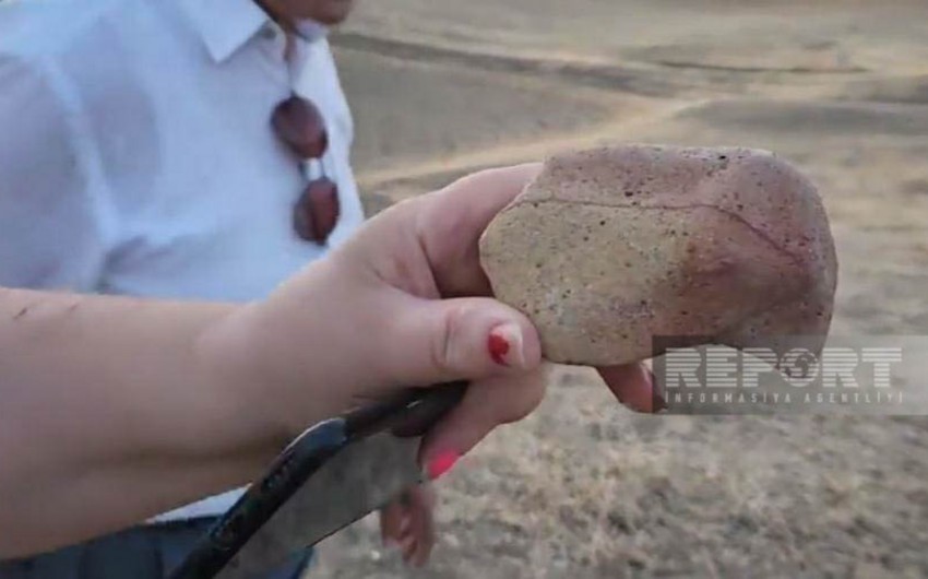 В Азербайджане впервые обнаружена каменная фигурка кабана | Report.az