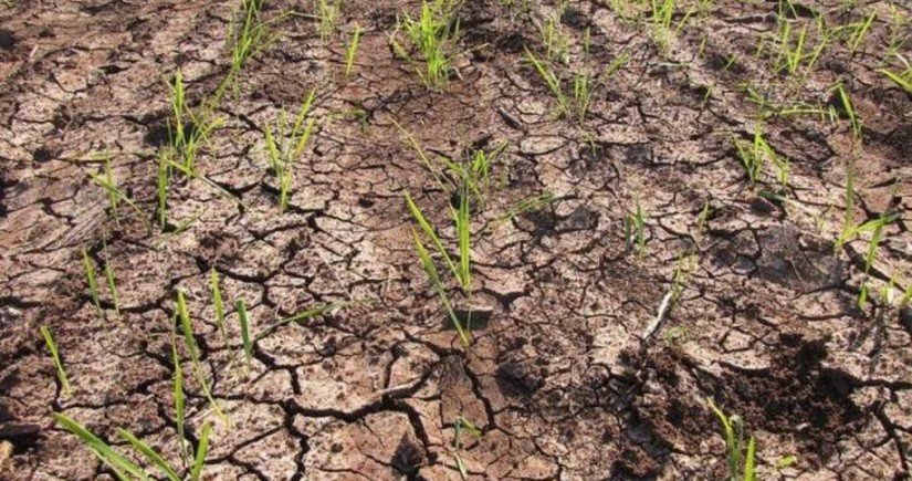 Matthew Griffiths: OECD is helping Azerbaijan fight against drought and water scarcity in agricultural sector