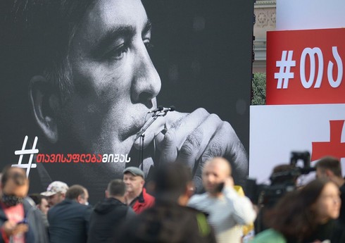 В Тбилиси началась акция в поддержку Саакашвили