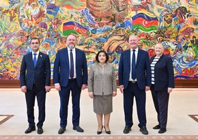 Сахиба Гафарова встретилась с главой межпарламентской группы дружбы Великобритания-Азербайджан
