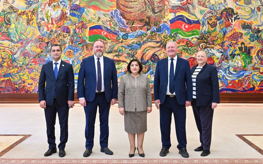 Сахиба Гафарова встретилась с главой межпарламентской группы дружбы Великобритания-Азербайджан
