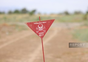 772 landmines neutralized in Azerbaijan’s liberated lands in August