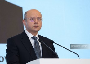 Azerbaijani energy minister visits Brazil