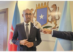 Somali səfiri: İqlim dəyişmələrinə dair fəaliyyətlə əlaqədar Azərbaycanın mövqeyini yüksək qiymətləndirirəm