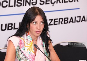 Italian MP: Azerbaijan parliamentary elections can be called transparent, democratic