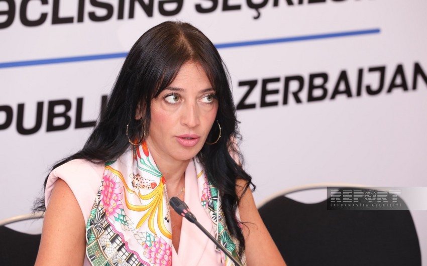 Italian MP: Azerbaijan parliamentary elections can be called transparent, democratic