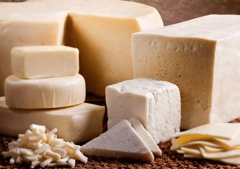 Азербайджан увеличил поставки сыра из Италии в 9 раз
