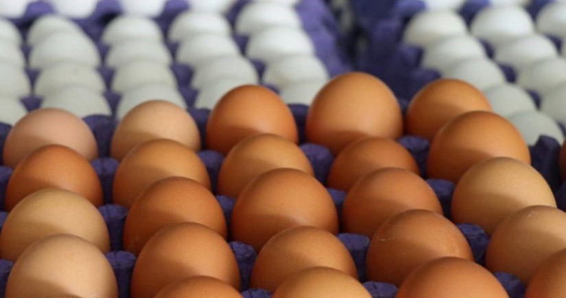 Из Азербайджана в Россию ввезено в общей сложности 43,1 млн яиц 