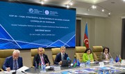 Azerbaijani MP: Social factors hold special place among main causes of climate change  