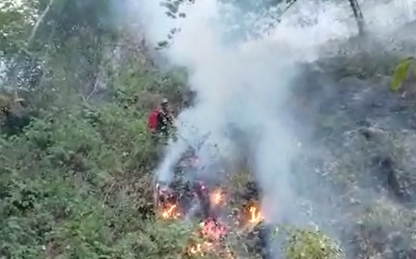 Wildfire in mountains of Azerbaijan's Masalli district extinguished