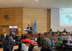 Azerbaijan's Rep to UNESCO calls for urgent measures to protect African heritage