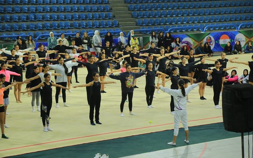 Azərbaycanın bədii gimnastika yığmasının məşqçisi Misirdə kursda iştirak edib