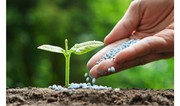 Azerbaijan increases revenues from fertilizer exports by over 77%