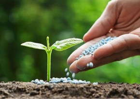 Azerbaijan reduces cost of importing fertilizers by 13%