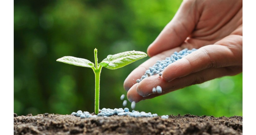 Azerbaijan increases revenues from fertilizer exports by over 77%