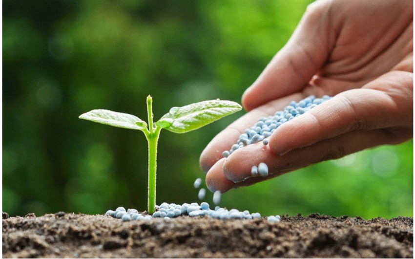 Azerbaijan increases revenues from fertilizer exports by over 77%