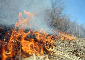 Hidrometeorologiya Xidməti isti günlərdə yanğına həssas bölgələri açıqlayıb