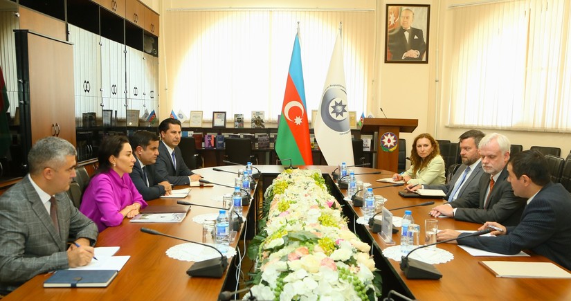 Azerbaijani Ombudsperson tells US envoy about Armenia's crimes, ecocide