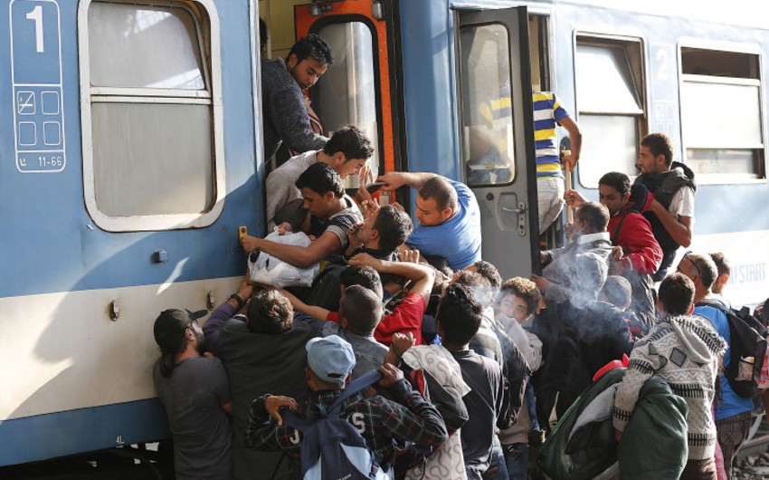 Глава Европарламента: заборы на границах не остановят беженцев