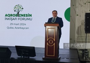 Меджнун Мамедов: COP29 поможет адаптации аграрной политики Азербайджана к международному опыту