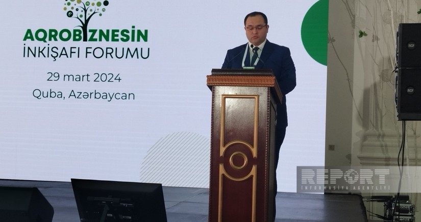 Minister: COP29 to help adapt Azerbaijan's agricultural policy to int'l experience