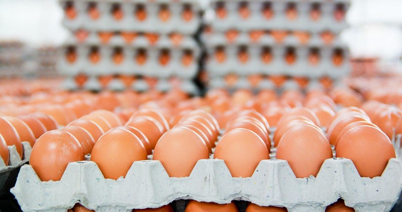 Azerbaijan launches table egg exports to United States, says AFSA