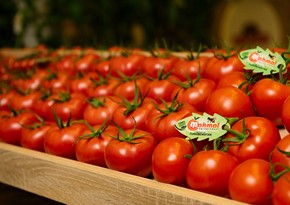 Turkmen tomatoes enter Austrian market