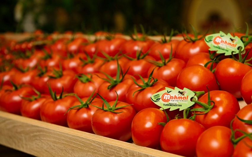 Turkmen tomatoes enter Austrian market