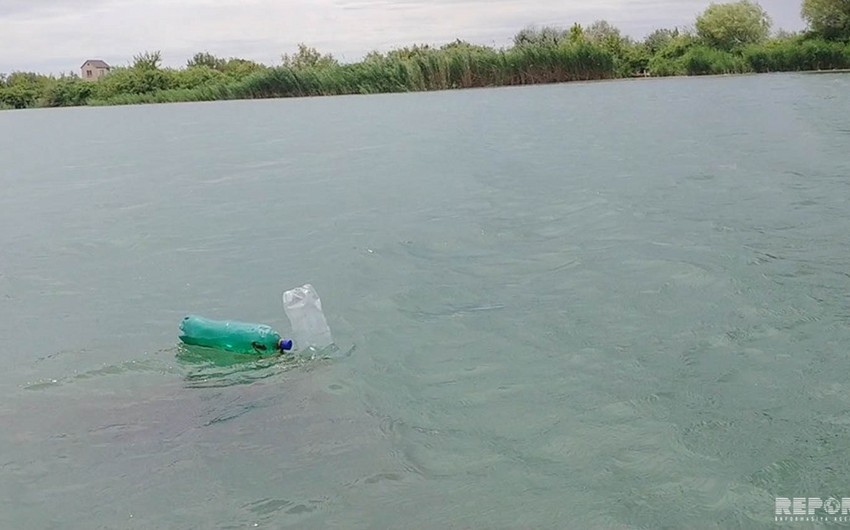 Рыболовная сеть, сброшенная в Куру в Мингячевире, наносит вред природе и спорту - ВИДЕО