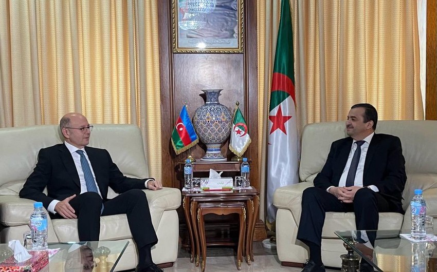 Пярвиз Шахбазов: Мы успешно сотрудничаем с Алжиром в формате ОПЕК+