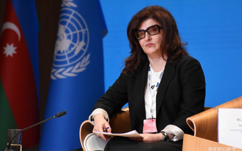Deputy Minister: There is a political will to implement Sustainable Development Goals in Azerbaijan