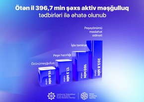 Ötən il Azərbaycanda 400 minə yaxın şəxs aktiv məşğulluq tədbirləri ilə əhatə olunub