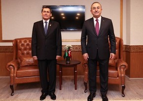 Mevlud Cavusoglu meets with FM of Turkmenistan