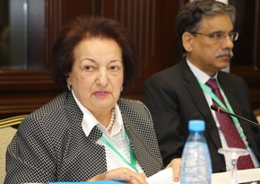 Elmira Süleymanova: Azərbaycanın ilk ombudsmanı kimi fəaliyyətimi davam etdirirəm