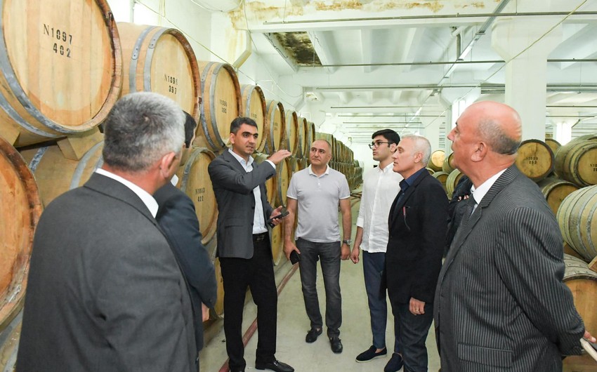 Entrepreneurs explore Khankandi's economic potential in revitalized Karabakh
